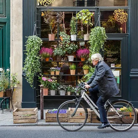 Apartamento Rue Des Saints-peres Ii By Onefinestay París